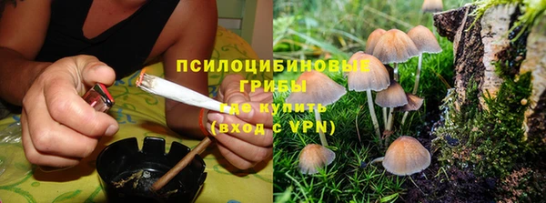 mix Армянск